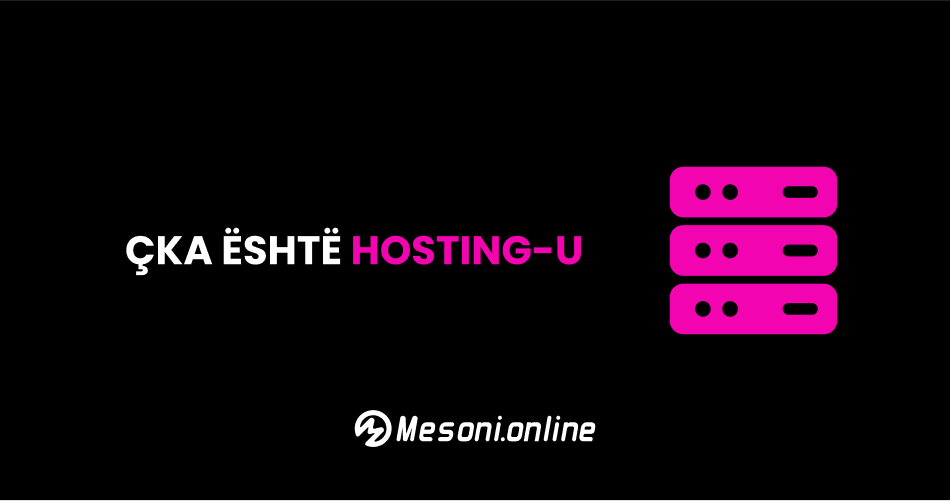 Çka është Hosting-u