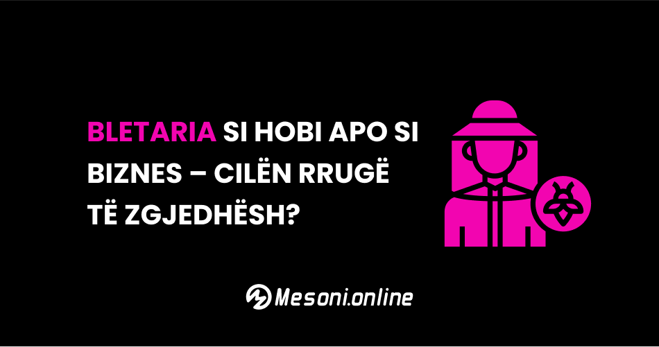 Bletaria si hobi apo si biznes – cilën rrugë të zgjedhësh?