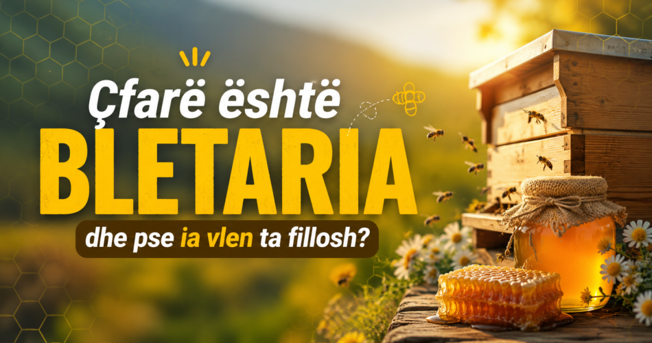 Çfarë është bletaria dhe pse ia vlen ta fillosh?