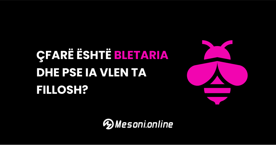 Çfarë është bletaria dhe pse ia vlen ta fillosh?