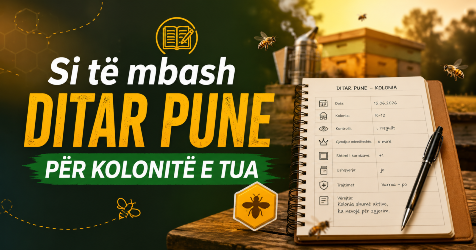 Si të mbash ditar pune për kolonitë e tua