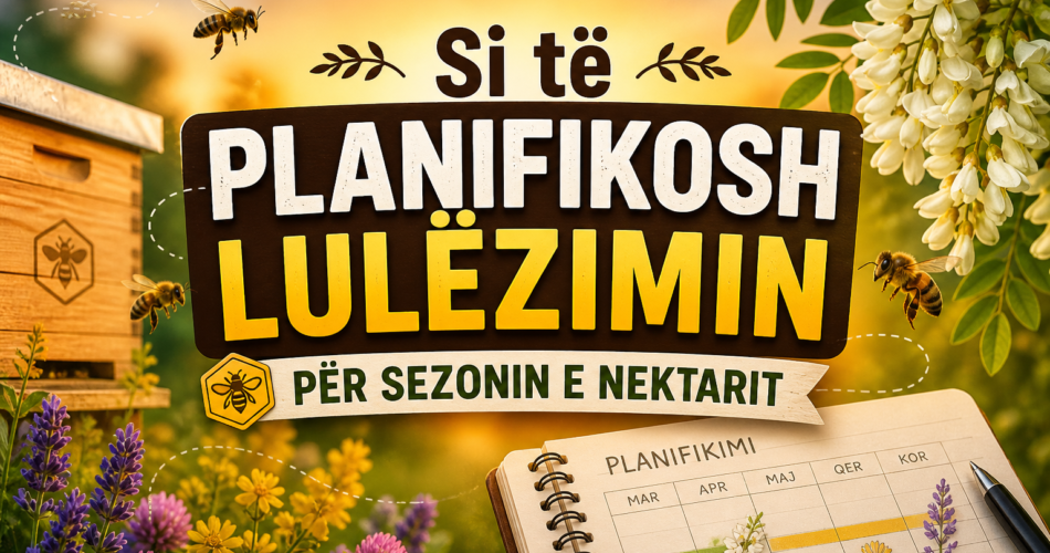 Si të planifikosh lulëzimin për sezonin e nektarit