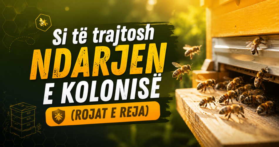 Si të trajtosh ndarjen e kolonisë (rojat e reja)