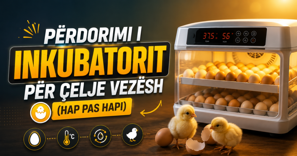 Përdorimi i inkubatorit për çelje vezësh (hap pas hapi)
