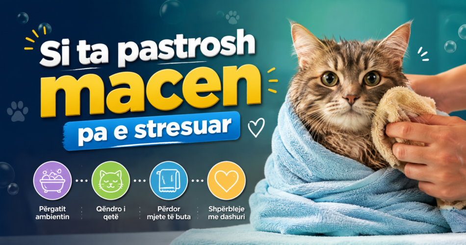 Si ta pastrosh macen pa e stresuar
