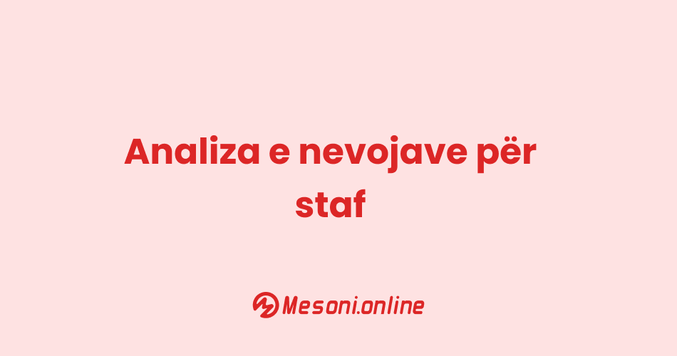 Analiza e nevojave për staf