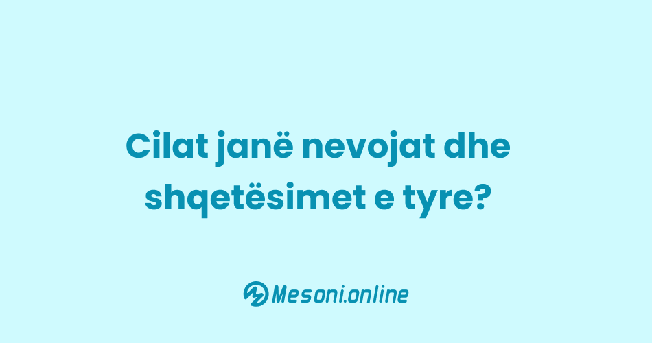 Cilat janë nevojat dhe shqetësimet e tyre?