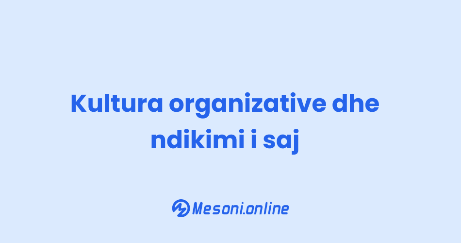 Kultura organizative dhe ndikimi i saj