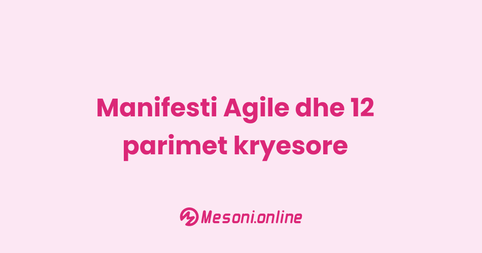 Manifesti Agile dhe 12 parimet kryesore