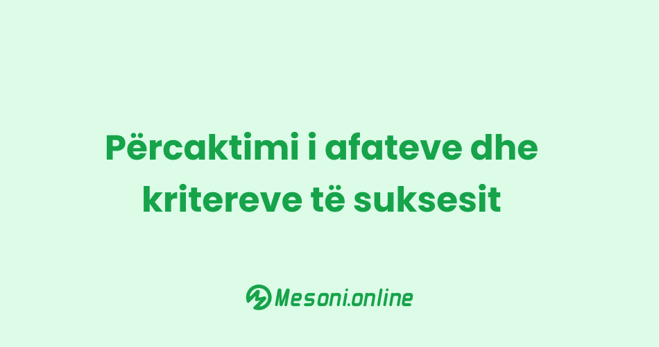 Përcaktimi i afateve dhe kritereve të suksesit