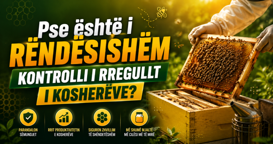 Pse është i rëndësishëm kontrolli i rregullt i kosherëve?