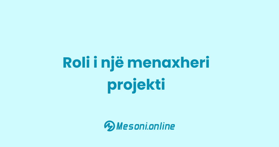 Roli i një menaxheri projekti