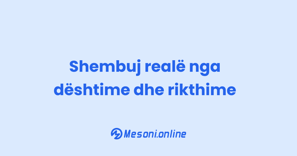 Shembuj realë nga dështime dhe rikthime