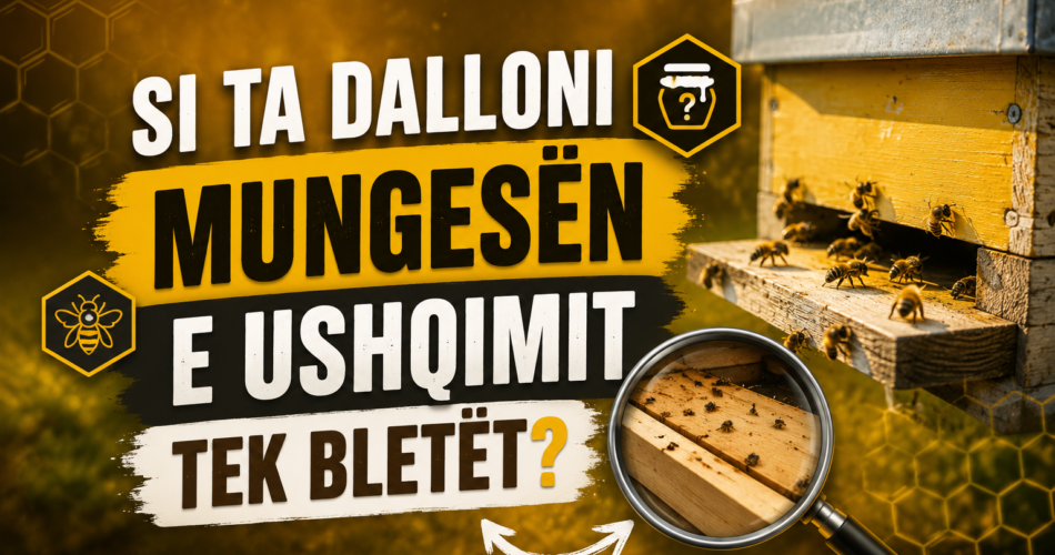 Si ta dalloni mungesën e ushqimit tek bletët?