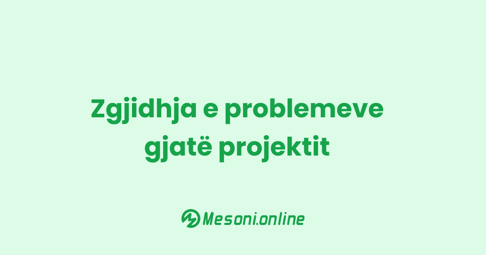 Zgjidhja e problemeve gjatë projektit