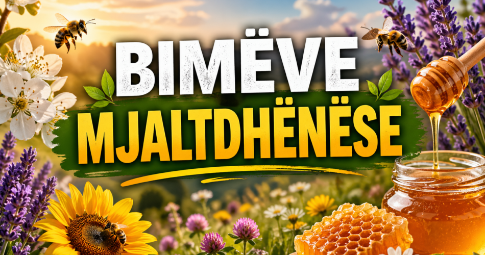 Bimët Mjaltdhënëse – Baza e një Bletarie të Suksesshme