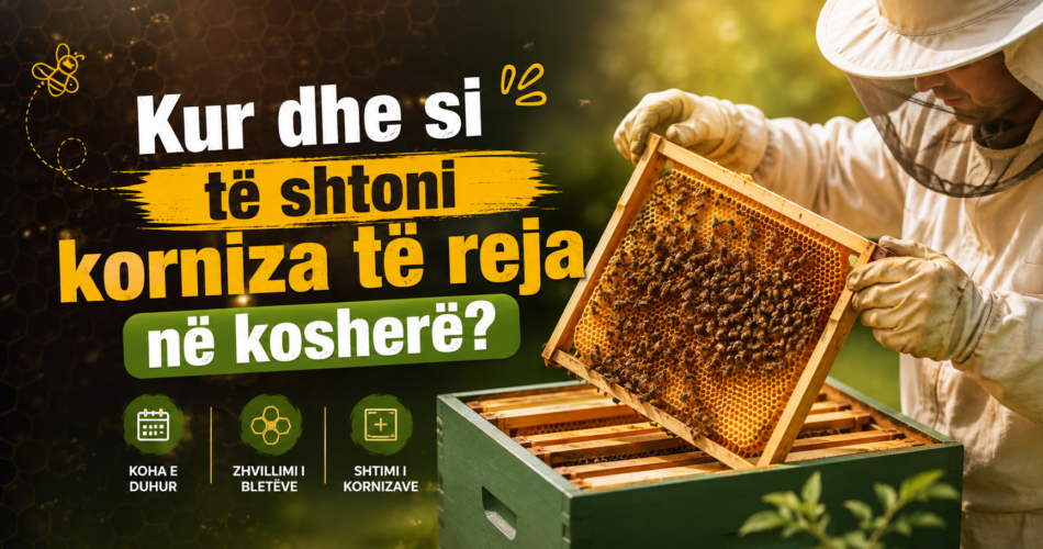 Kur dhe si të shtoni korniza të reja në kosherë?