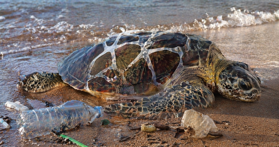 Pse plastika është një nga ndotësit më të mëdhenj