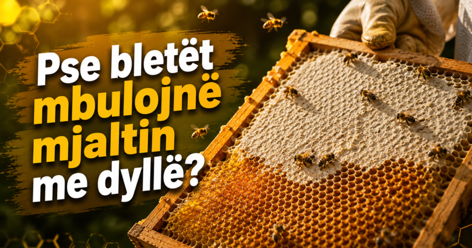Pse bletët mbulojnë mjaltin me dyllë?