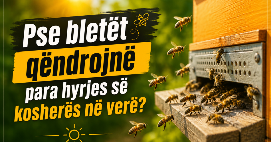Pse bletët qëndrojnë para hyrjes së kosherës në verë?