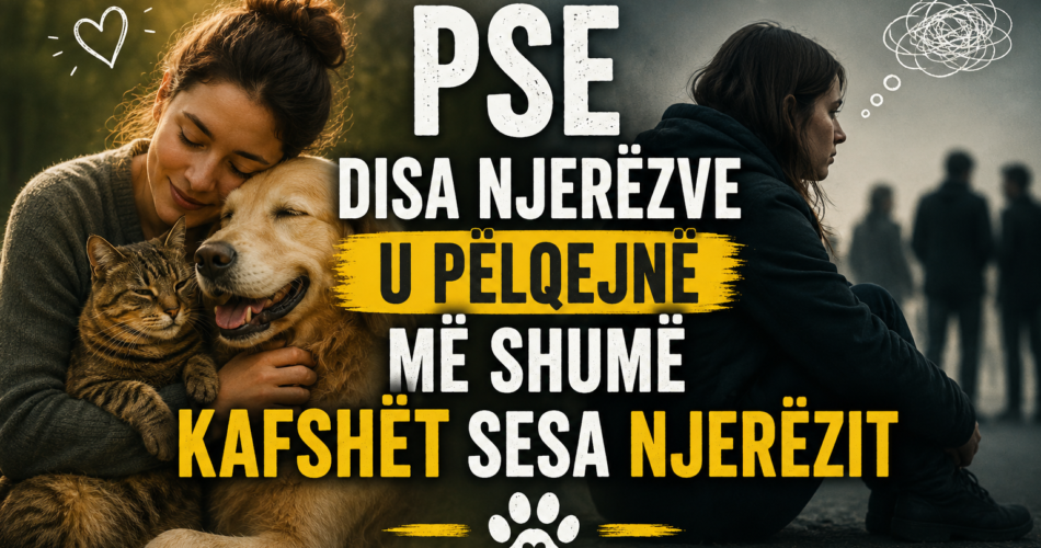 Pse disa njerëzve u pëlqejnë më shumë kafshët sesa njerëzit