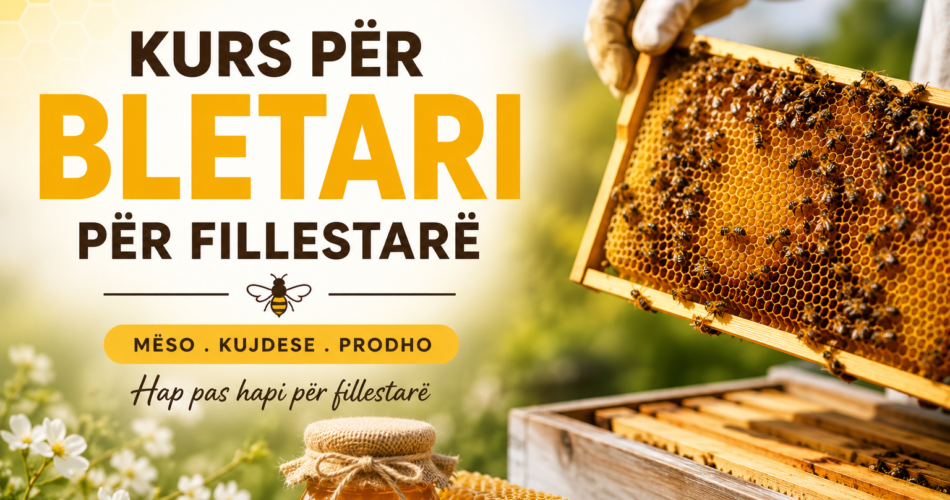 Kurs për Bletari për fillestarë – Mëso bletarinë hap pas hapi