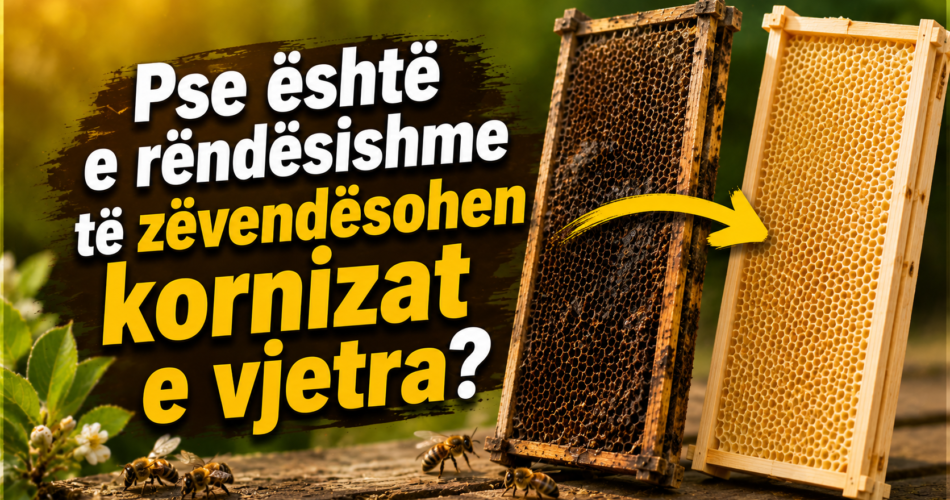 Pse është e rëndësishme të zëvendësohen kornizat e vjetra?