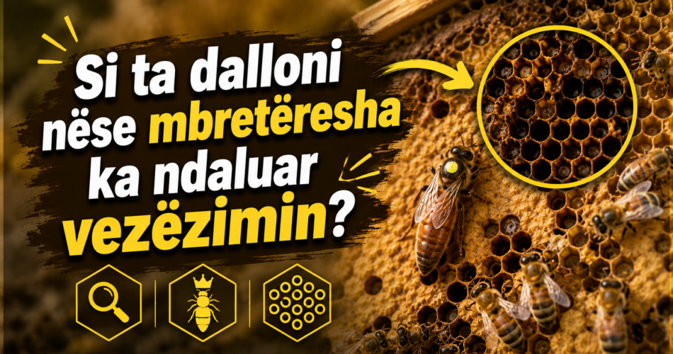 Si ta dalloni nëse mbretëresha ka ndaluar vezëzimin?