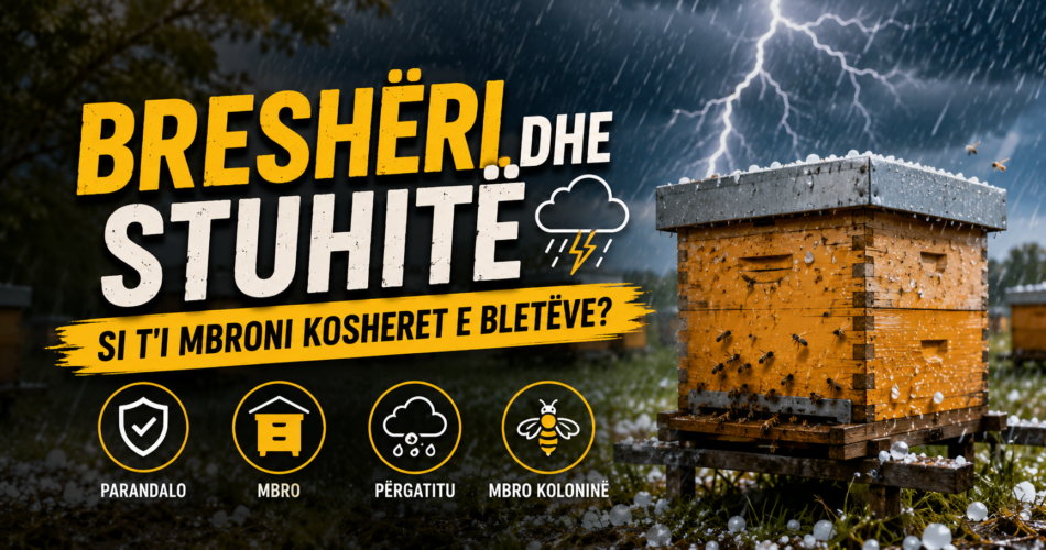 Breshëri dhe stuhitë – Si t'i mbroni kosheret e bletëve?
